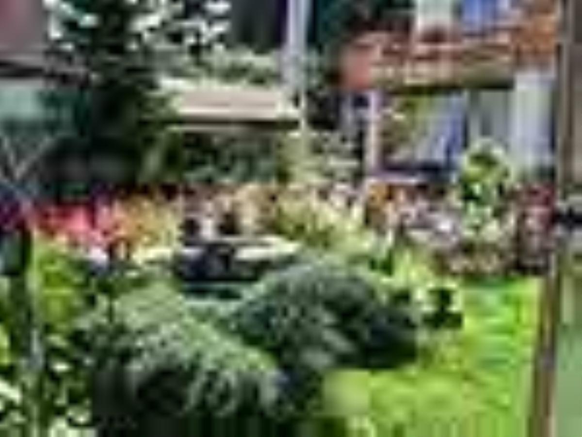 Pension Puschmann Chemnitz Exterior photo