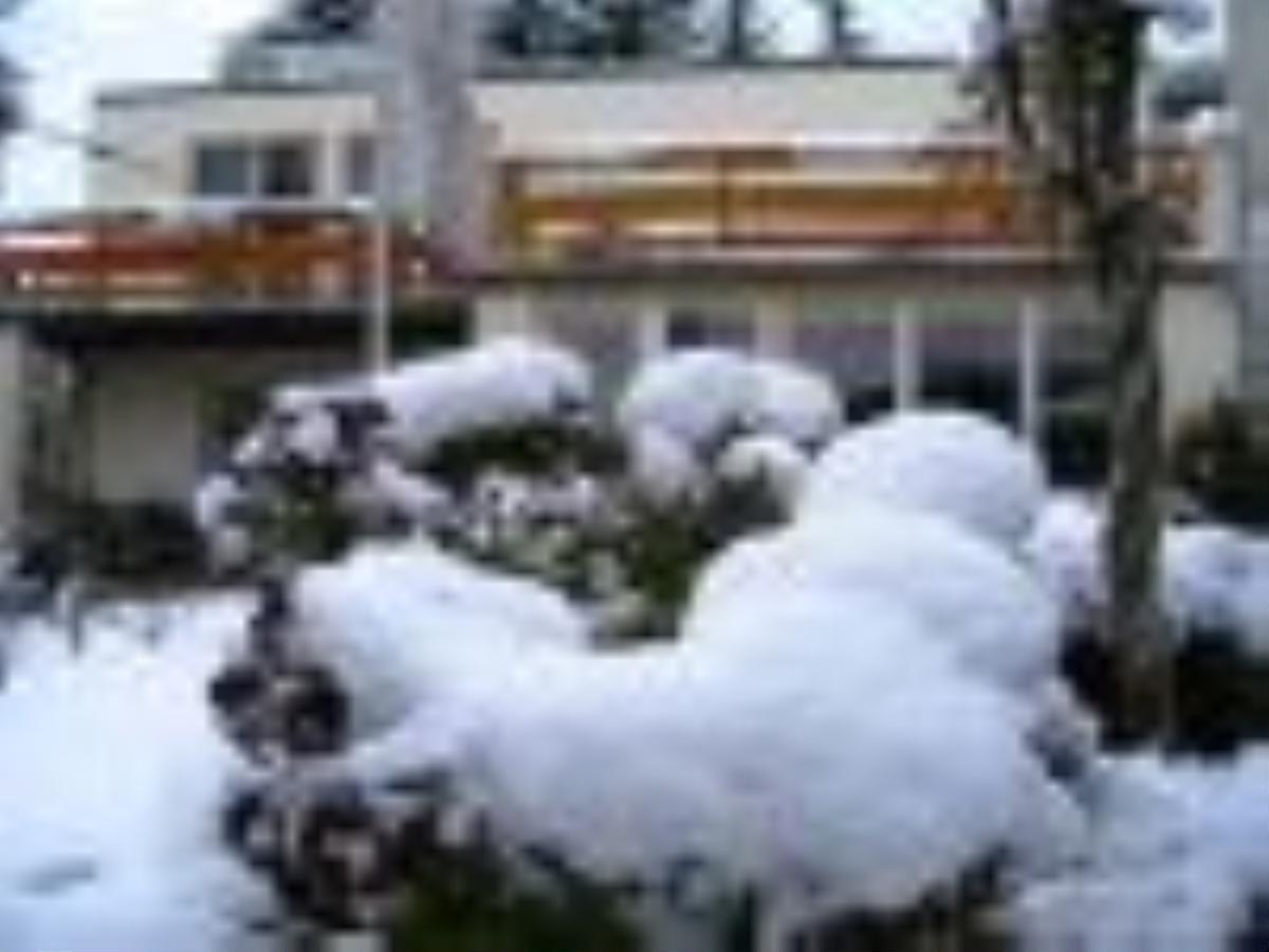 Pension Puschmann Chemnitz Exterior photo